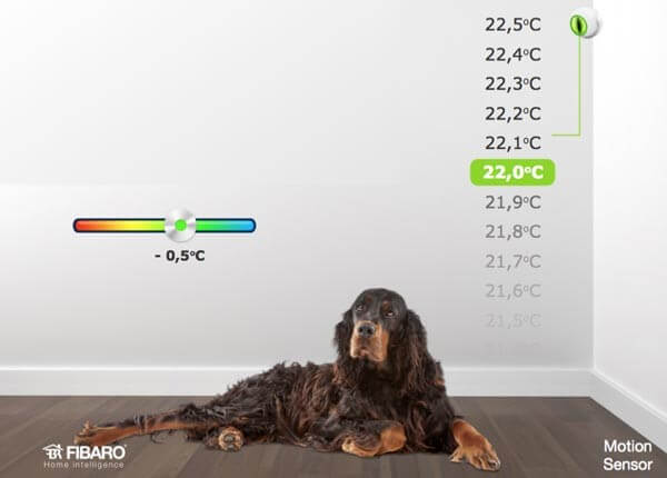 Okos otthonunban a kutya, macska is jobban érzi magát!