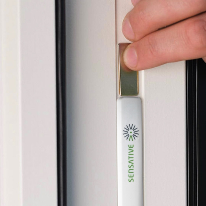 Sensative Magnet - 3