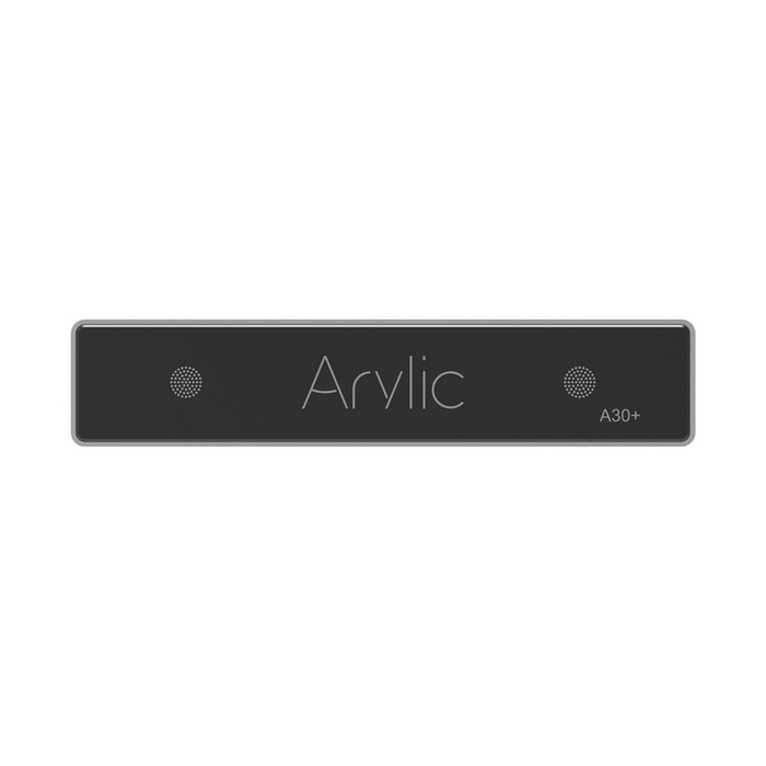 Arylic A30+ - 2