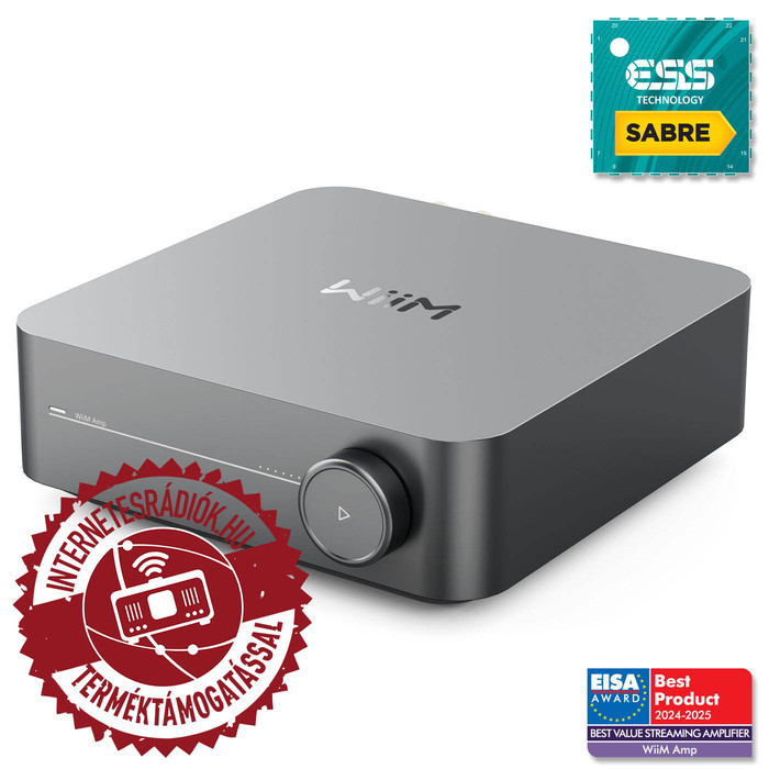 WiiM AMP (gray)