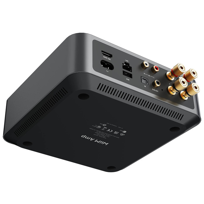 WiiM AMP (gray) - 12