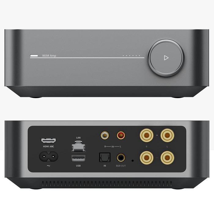 WiiM AMP (gray) - 2