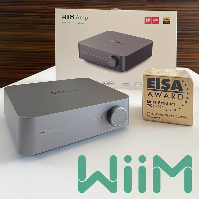 WiiM AMP (silver) - 13