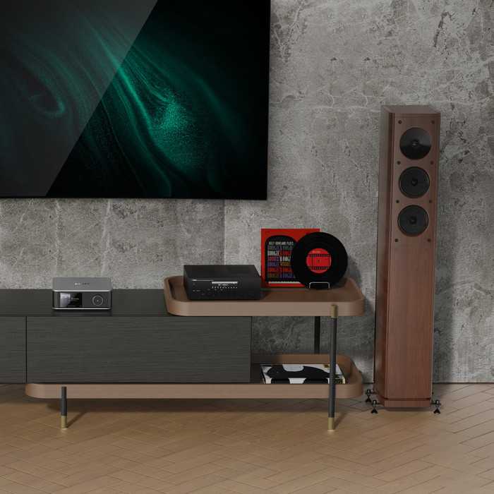 WiiM Ultra (silver) - 6