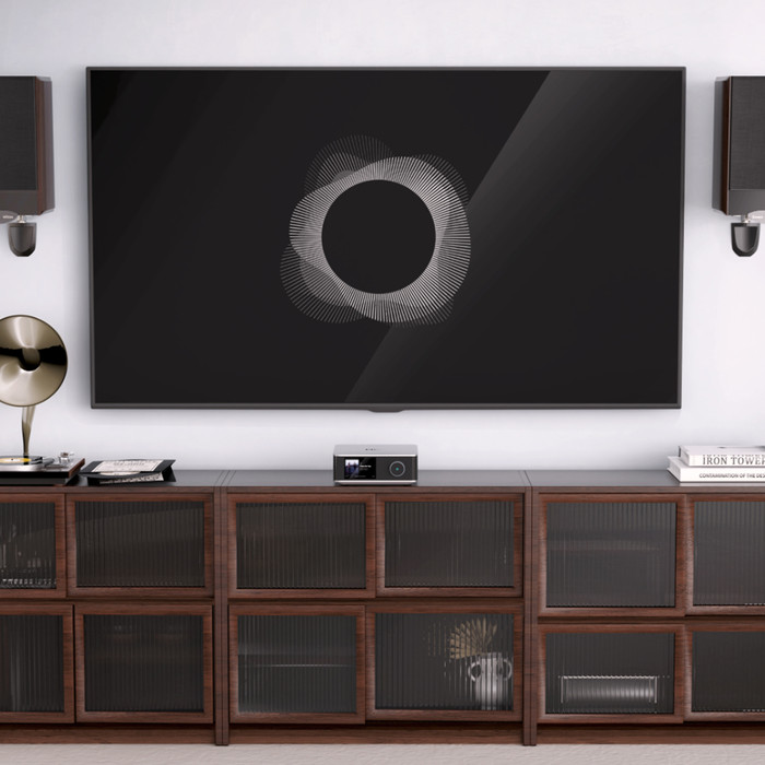 WiiM Amp Ultra (silver) - 5